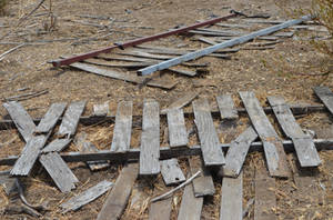 Wood- Branchs Ground Stock Photo 0337 by annamae22 Wood- Branchs Ground Stock Photo 0337 by annamae22