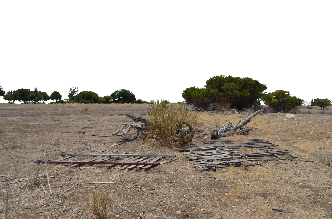Field and Ground PNG Background Stock 0329 USEDTH by annamae22