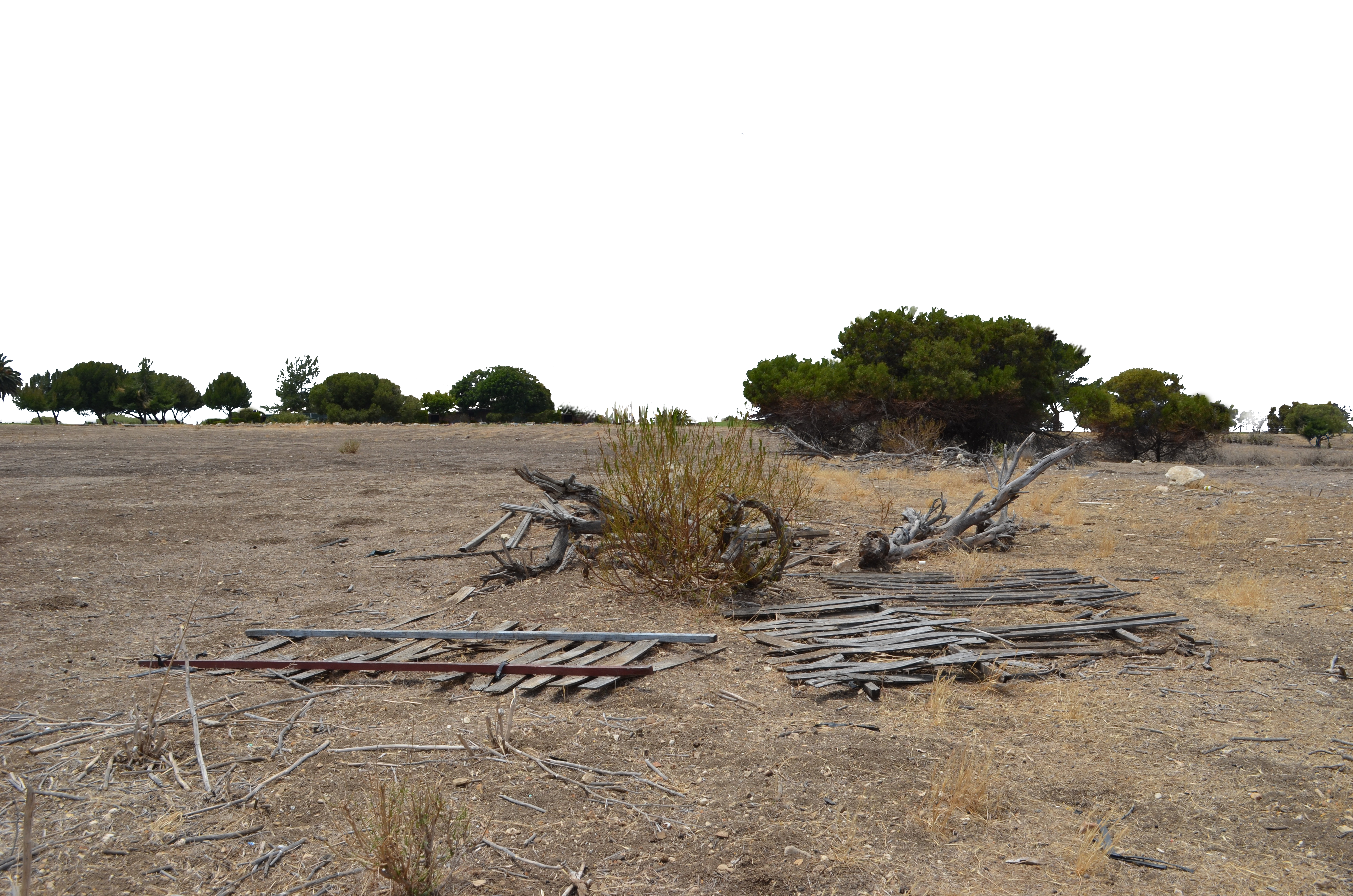 Field and Ground PNG Background Stock 0329 USEDTH by annamae22