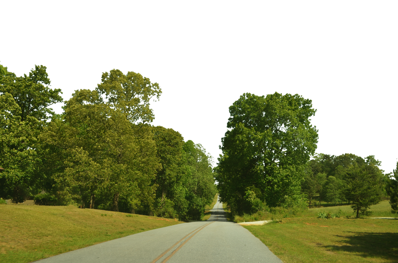 Country Road-Forest PNG Background Stock 0134 by annamae22 on DeviantArt
