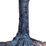 Tree Trunk PNG Stock Photo 0084