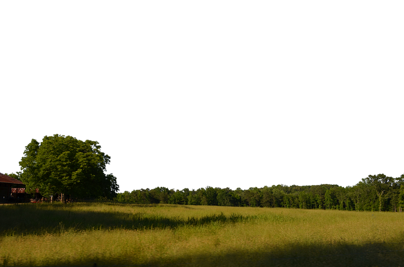 Field and Trees Background PNG Stock 0038 copy 5