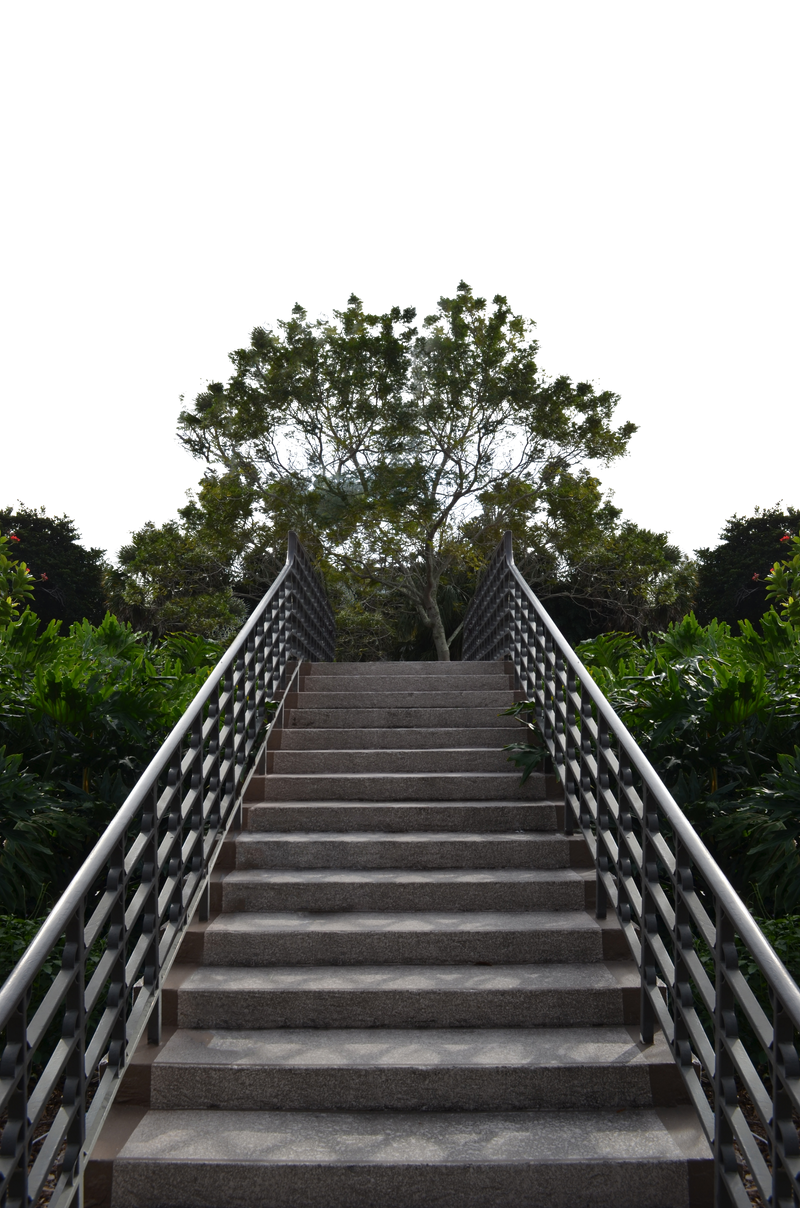 Staircase In Forest Png Background Stock 0371 By Annamae22 On Deviantart Staircase In Forest Png Background Stock 0371 By Annamae22 On Deviantart