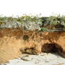 Lands End Cliff PNG Ground Stock 0026 Elements