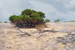 Wasteland Background Stock 0205 cc1 LIGHT by annamae22