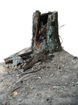 Dead Tree Stump PNG Stock at Lake 0793