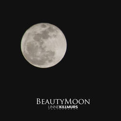 Beauty Moon