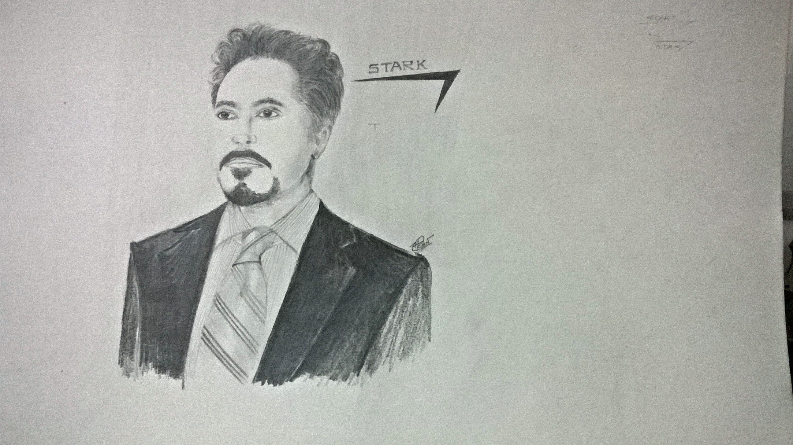 Robert Downey JR