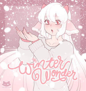 Winter Wonder Time