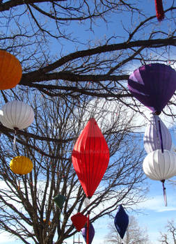 Zoo Light Lanterns