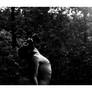 Garden Of Eden
