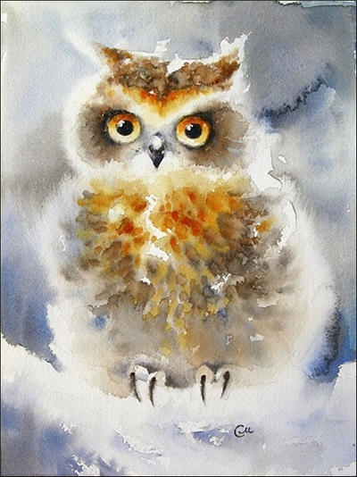 Winter Owl