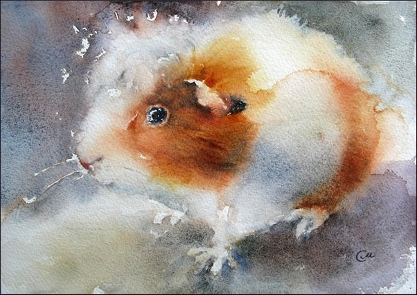 A Fluffy One by cmwatercolors