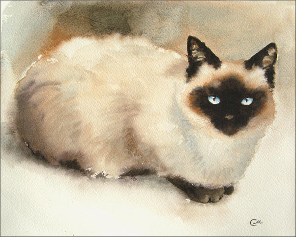 Siamese Cat by cmwatercolors