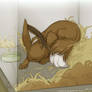 Eevee's Story Ch. 1 Illustration