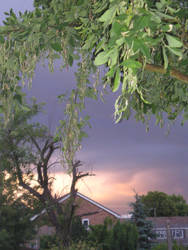 Orage de Tonnerre