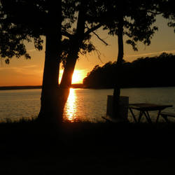 Shady Spot by the Lake