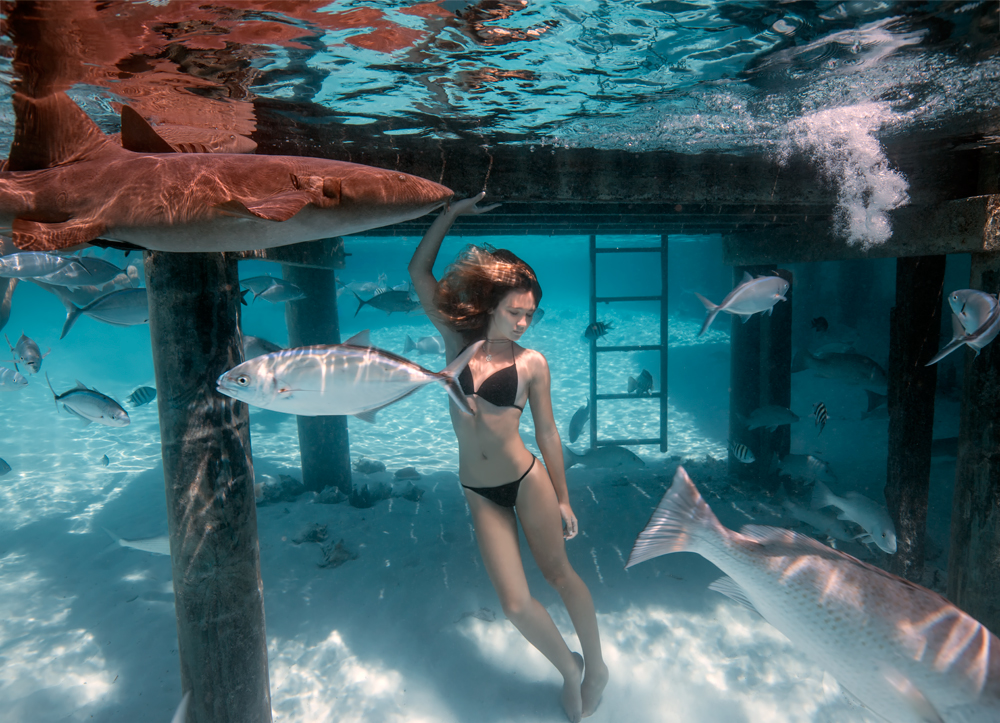 Compass Cay by SachaKalis