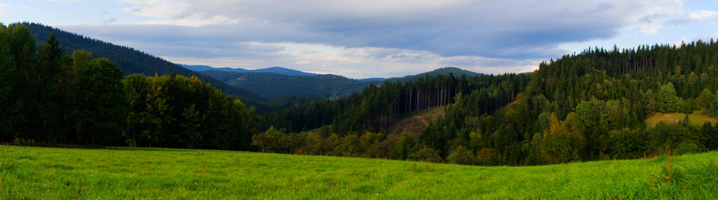 Wood mountains