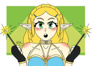 Lewdish Zelda