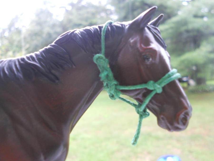Custom Rope Halter by GreenandPleasant on DeviantArt