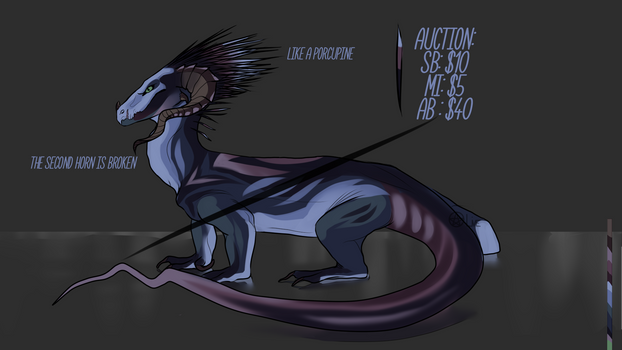 Adopt AUCTION  OPEN