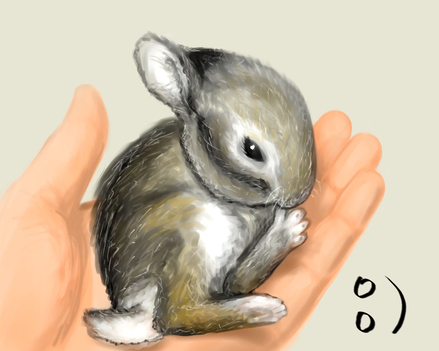 Deviantart Mini Rabbit Little bunny :) by bo-is on DeviantArt