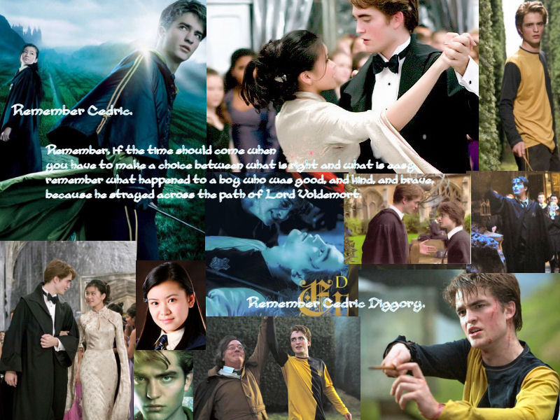 Remember Cedric Diggory