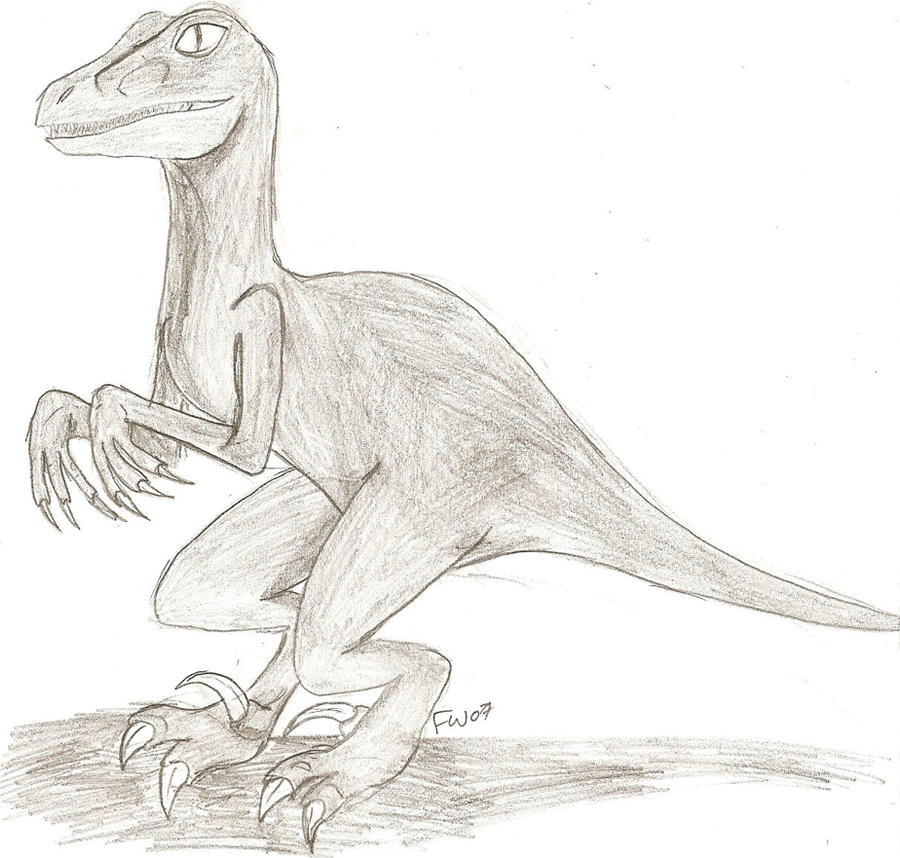 raptor_sketch1 by yak23 on DeviantArt