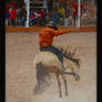 Rodeo Cowboy 1