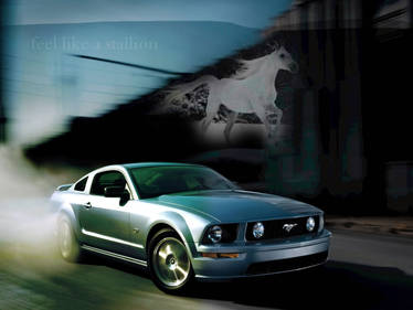 mustang GT THE STALLION