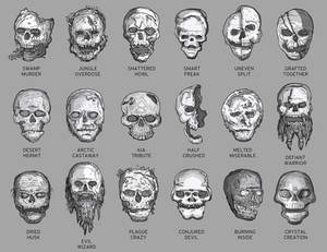 Permutation Exercise: Skulls