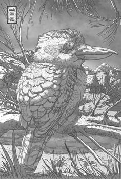 Curious Bird Sketchbook Drawing Wildlife Study