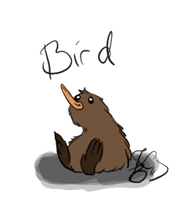 Bird the Kiwi