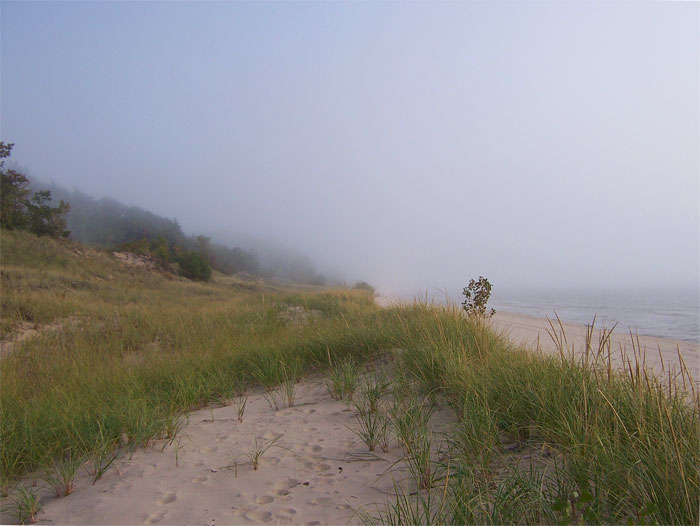 Misty beach