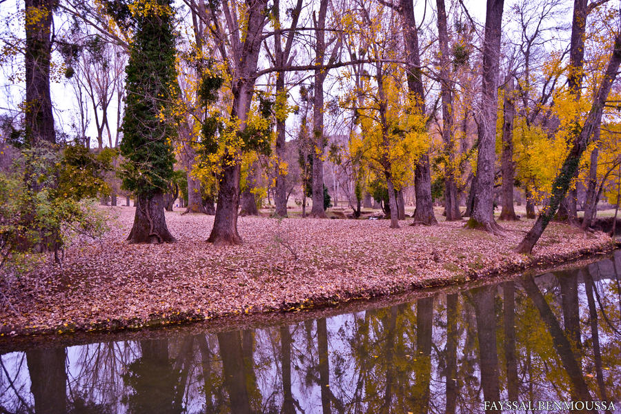Ifrane Spring Spring in Ifrane Morocco by FayssalArt on DeviantArt