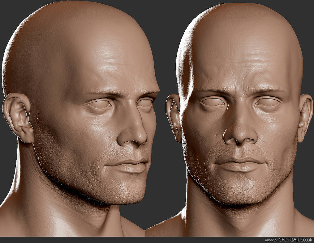 Нападали какое лицо. Референс Zbrush face. 3д модель головы Кайдановского. Человек в 3/4 референс. Голова человека.