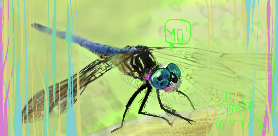 YO Dragon Fly by draweverywhere