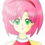 Amy Rose To Sonic The Hedgehog Human