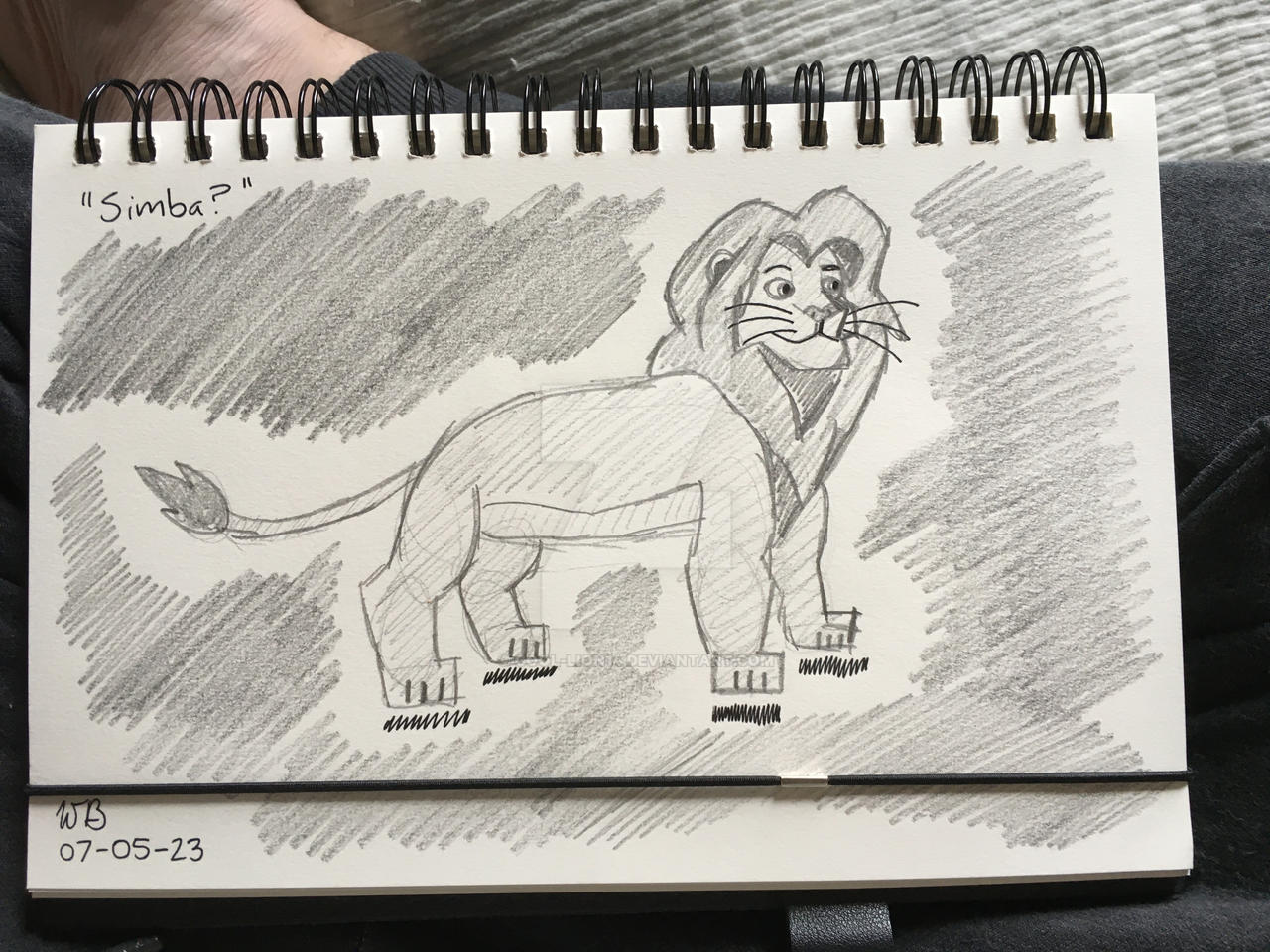 Simba the Lion by Cool-Lion14 on DeviantArt