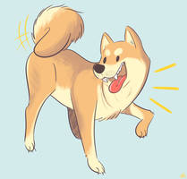 Inu