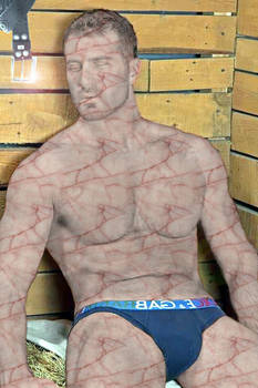 Petrified hunk in sauna