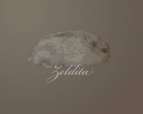 Zeldita