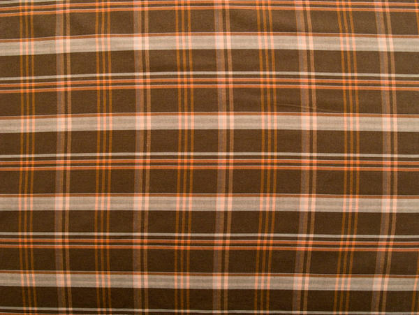 texture 014