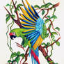 Macaw