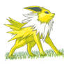 Jolteon