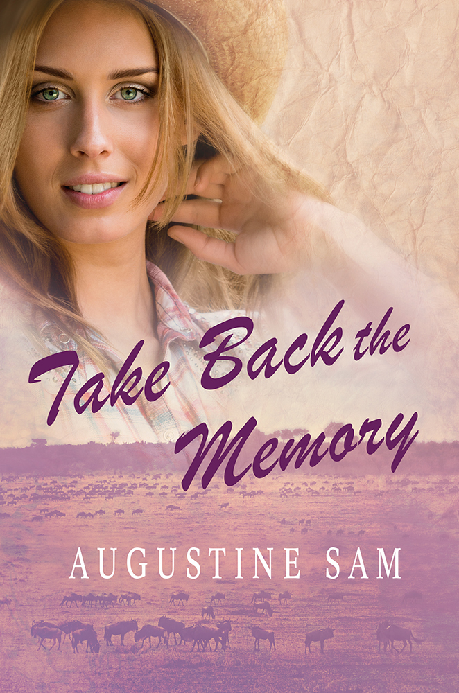 Take Back the Memory - Book Cover