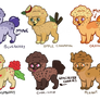 Muffintop Pups Batch 1
