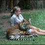 Bengal Tiger And Friend.