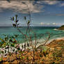 Headland Noosa National Park